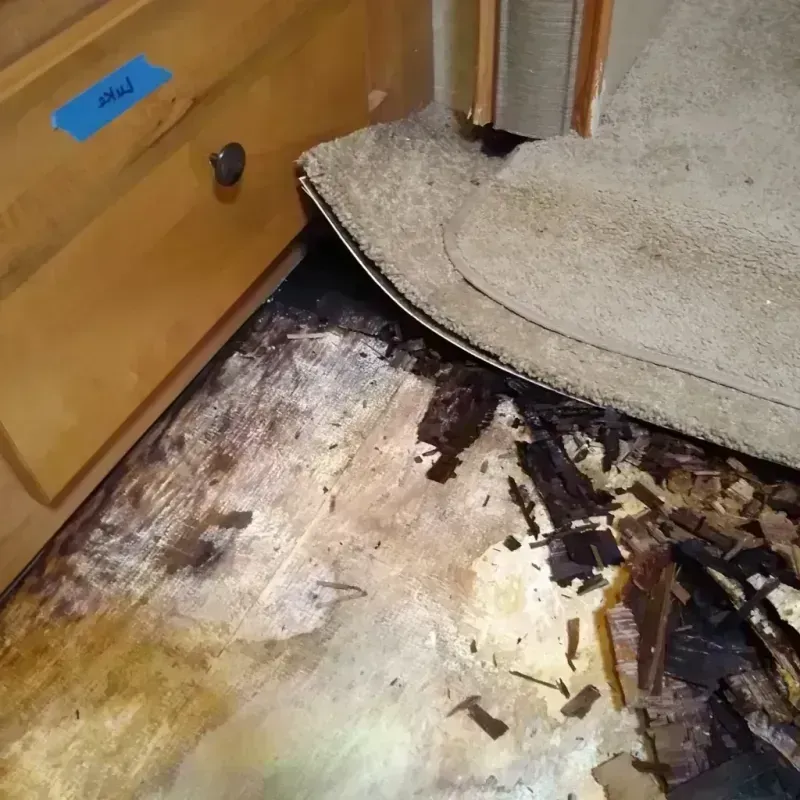 Best Wood Floor Water Damage Service in Glen Allen, VA